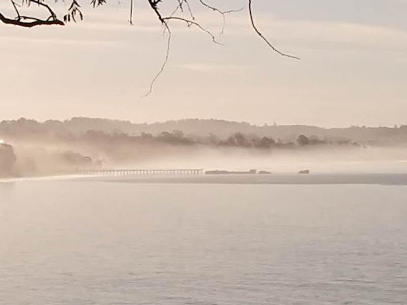 Hills in the&nbsp;Fog