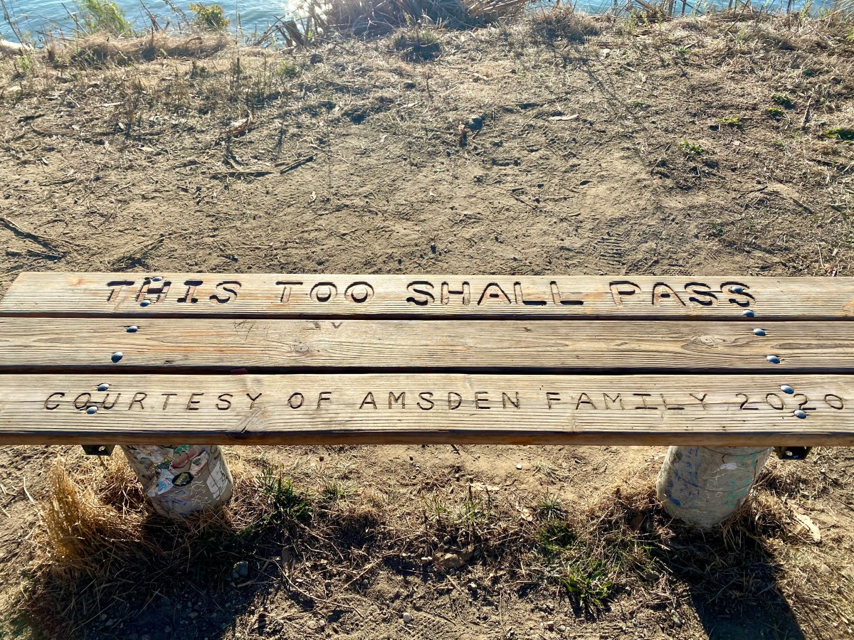 This Too Shall&nbsp;Pass